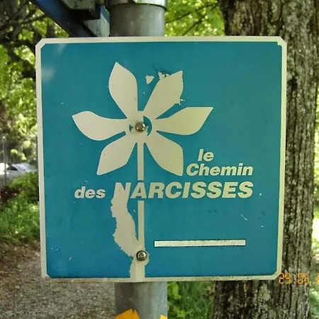 Les Narcisses, * 布洛奈